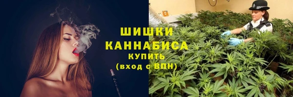 бошки Алексин
