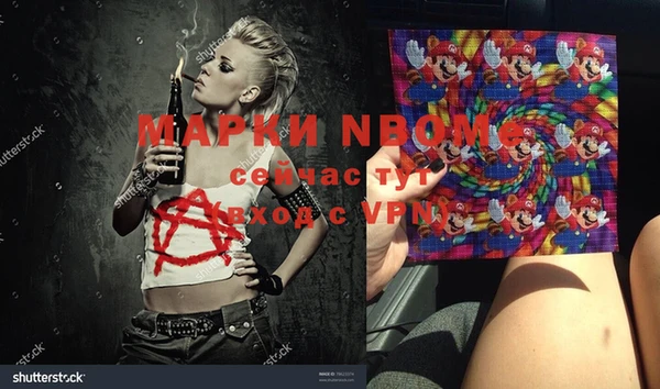 бошки Алексин