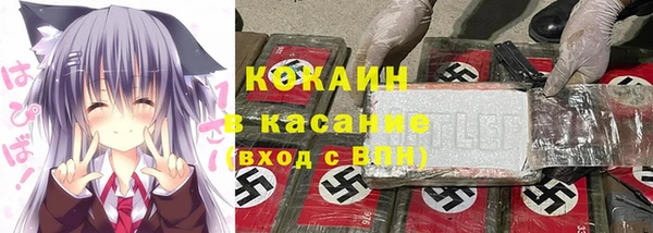 бошки Алексин