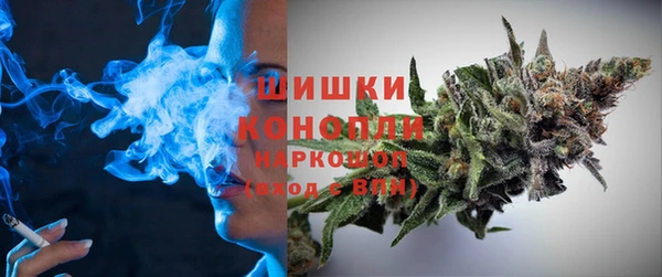 бошки Алексин