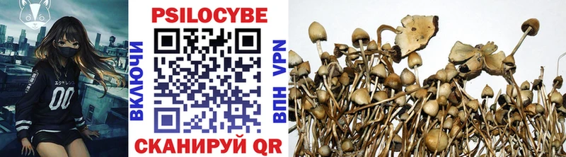 Псилоцибиновые грибы Psilocybe  Чулым 