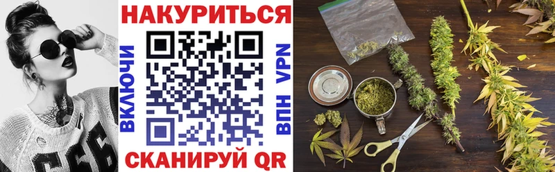 хочу   Чулым  Бошки Шишки семена 